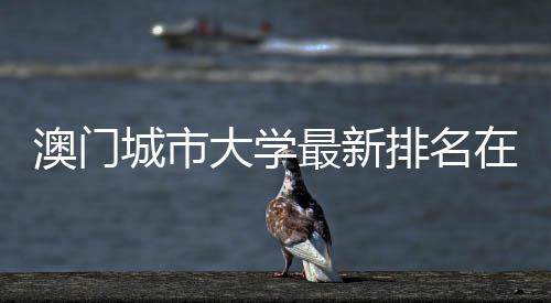 门高校中大学第几最新在澳排名澳门城市