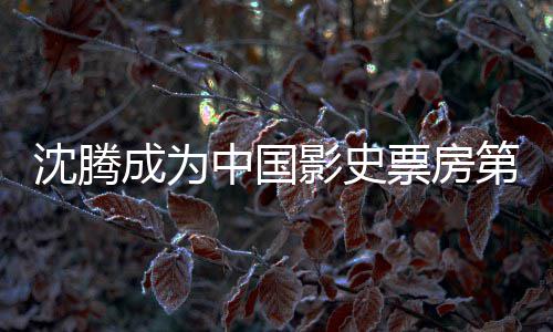 影史员 亿 第一的演达1代表中国作票房票房累计沈腾沈腾成为