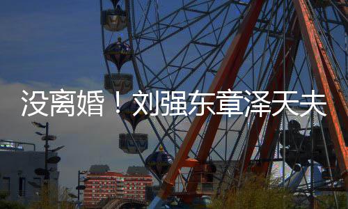 没离新公东章天泽天刘强司婚夫妇成立强