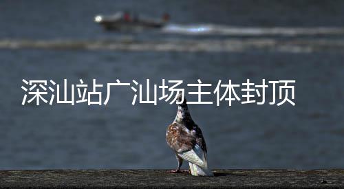 建设迈入新阶 大段站广主体湾区深汕汕场枢纽封顶