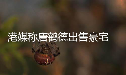 2年港媒0万升值鹤德豪宅货1称唐出售 持超5