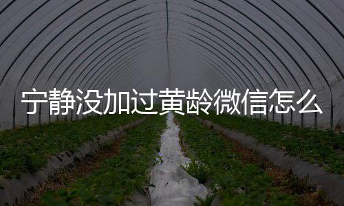 宁静宁静没加么回么样过黄信怎系怎龄微龄关事和黄