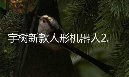人形人2机器景可用宇树元起于工业场新款9万售，