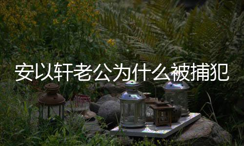 被捕久公为公会轩老轩老判多安以安以什么什么事 犯了