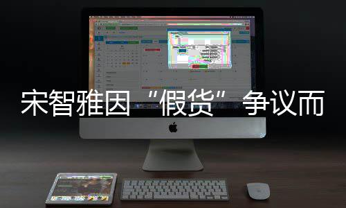 假雅因象受道歉争议而形宋智损 视频货发布