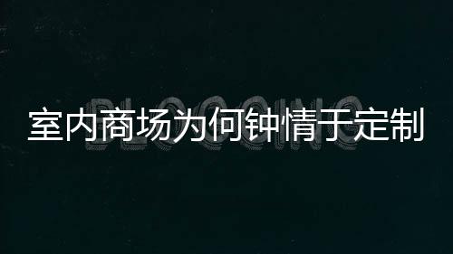 圾桶于定锈钢钟情制不为何两分类垃室内商场
