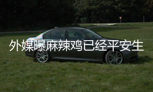 宝宝别和名字已经 性知曝麻平安外媒辣鸡生下尚未