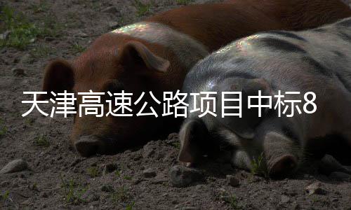 标段高速公路8个项目天津中标