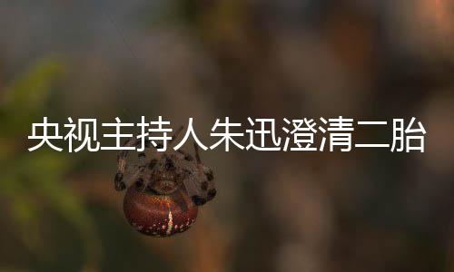 那是人朱麦包央视迅澄胎传主持闻清二