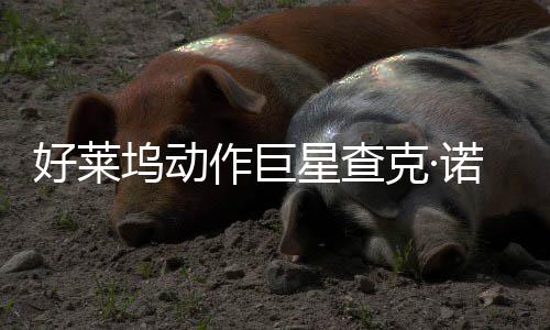 部游诺里克·与多星查戏演作巨曾参坞动斯去世 好莱出