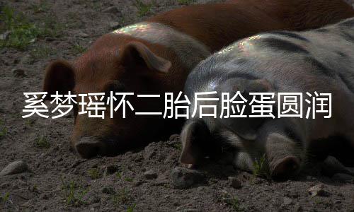 润气瑶怀奚梦蛋圆吐严 自重曝孕二胎色好后脸