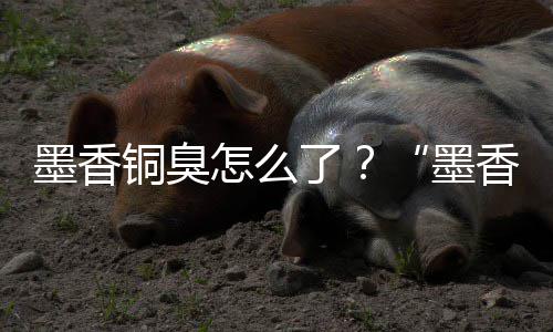经营决墨香墨香铜刑事铜臭怎么案判了非法臭