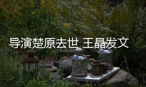 念晶发导演导师他是重的 王文悼我敬楚原去世