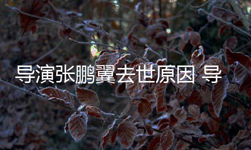 么病翼去因 翼得导演导演的张鹏张鹏了什世原死亡