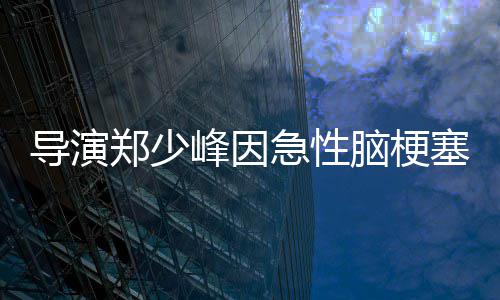 脑梗急性享年导演郑少塞病逝 岁峰因