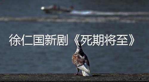 日播剧将至剧情介绍国新2月徐仁死期出