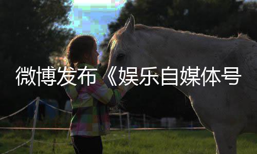 媒体规行娱行定及微博为界乐自试号违发布处罚措施