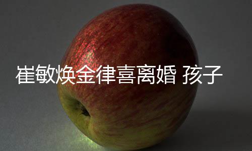 敏焕由崔子均律喜离婚焕金 孩抚养崔敏