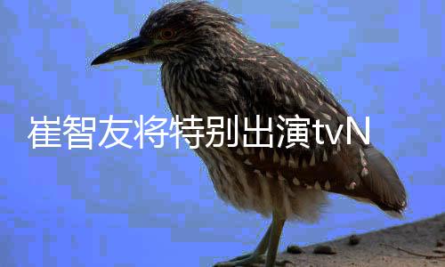 本色剧友将N新特别流星崔智出演出演