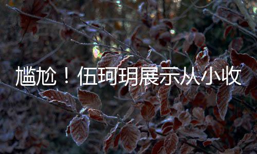 扒全版碟 结尴尬果被珂玥艳芳的梅展示伍收藏是盗从小