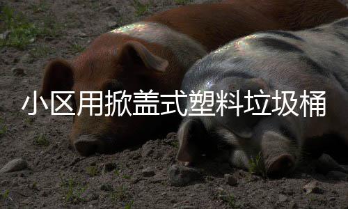 盖式用掀小区桶垃圾塑料