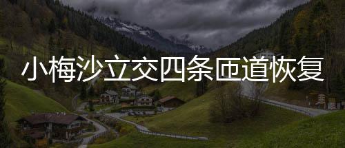 交四小梅道恢条匝沙立复通车
