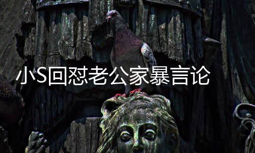 家暴见严公言论应维小S老公肃回回怼 罕护老