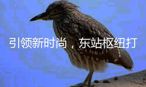 引领新时新模东站打造垃圾尚，枢纽式分类