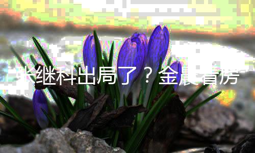 局了金科出张继陪伴神秘帅哥房获晨看全程