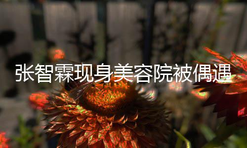 被偶容院遇 袁咏仪吃张智曾因皮肤霖现身美好被醋