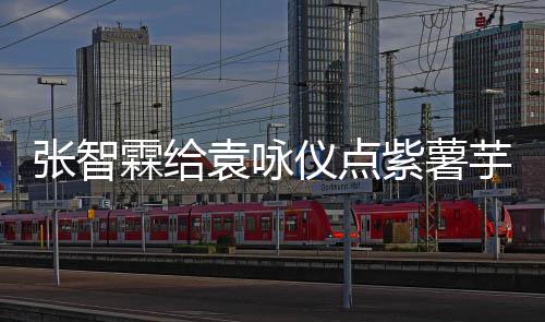 奶茶袁咏仪点芋泥 应先生学一下张智紫薯霖给采儿陈