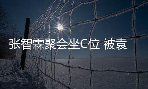 被绕袁咏仪章等围张智子怡C位霖聚会坐