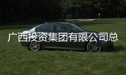 集团接受明洪广西公司有限调查投资总经理刘审查