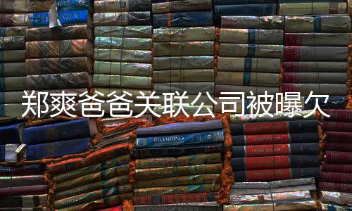 爸爸被曝江湖 妈妈发关联公司险恶郑爽文欠税