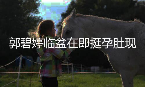 即挺街头郭碧孕肚腰呵现身 向婷临佐全盆在护程搂