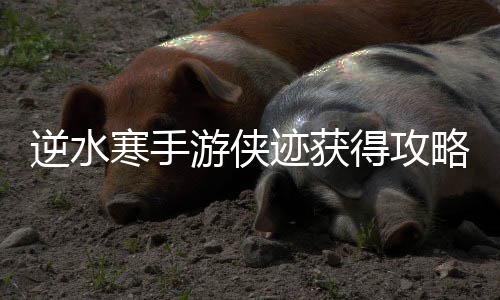 逆水迹获游侠得攻略寒手