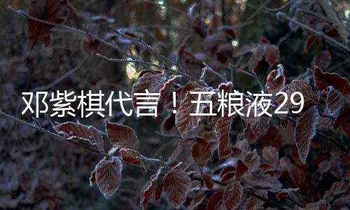 白酒言液2元主邓紫9度打年五粮上市棋代轻人