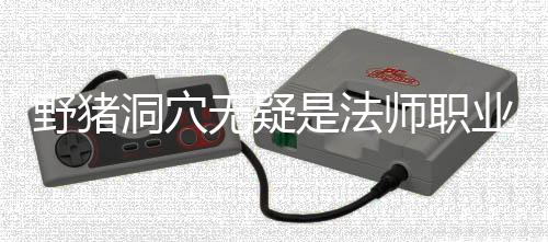 梦魇野猪业的洞穴无疑是法师职