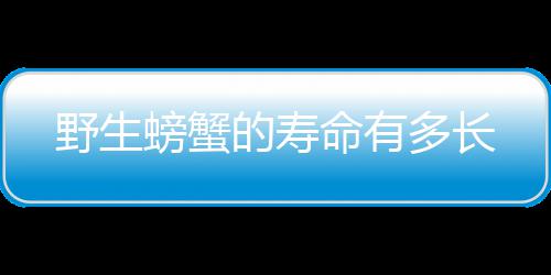 命有野生的寿多长螃蟹