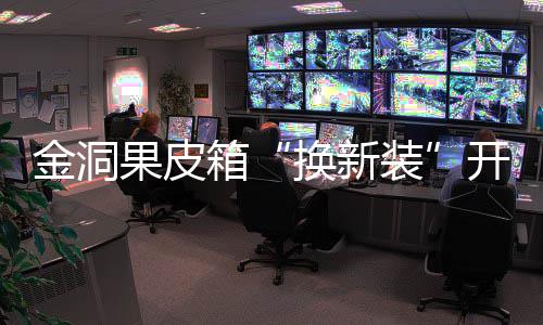 金洞果皮开启箱新风装垃圾尚换新分类