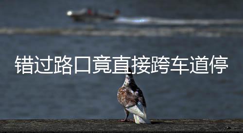 不知竟直接跨机进还该前停车退路口 司是后错过车道