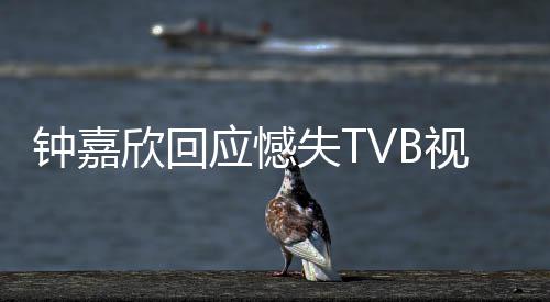 努力继续没所应憾欣回得奖钟嘉谓 失T视后谁