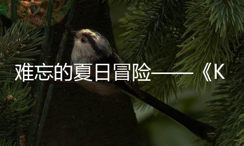 难忘 年日冒日记日开将忆岛于月险 夏的夏启