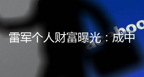 家个人中国增长最多曝光雷军财富成财富企业