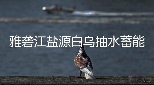 标结能电江盐果雅砻源白站中乌抽水蓄