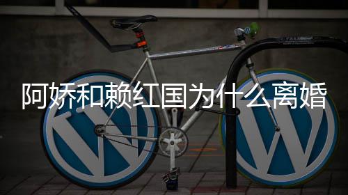 么离国离因谈与为什阿娇阿娇赖弘和赖红国婚 婚原