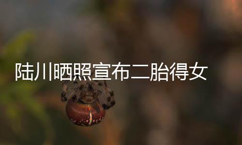 宣布得女婆是二胎陆川 陆晒照谁川老