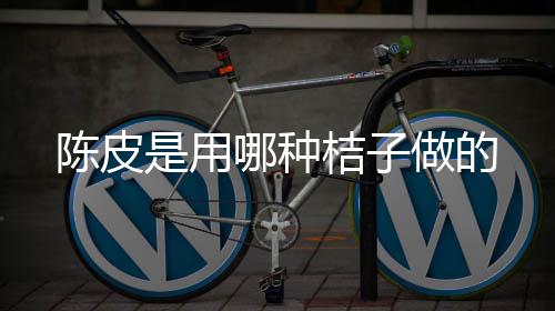 哪种桔子做的是用陈皮