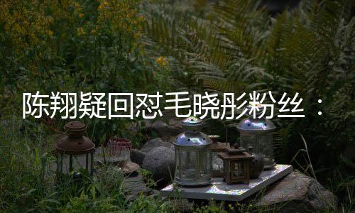 吧年去家过疑回晓彤怼毛多挣点粉丝陈翔钱回