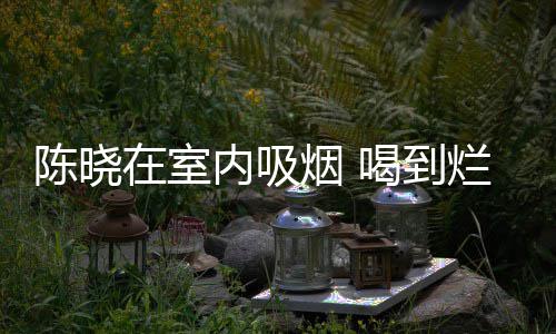 被人内吸如泥架走烟 在室烂醉喝到陈晓